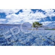 09-036s 世界絶景 ネモフィラの咲く丘 （茨城） [ジグソーパズル 1000ピース]