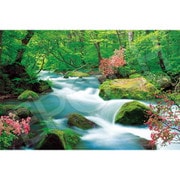 09-041s 日本風景 奥入瀬渓流 （青森） [ジグソーパズル 1000ピース]
