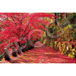 22-116s 日本風景 吉野山の紅葉景 （奈良） [ジグソーパズル 2016ピース]