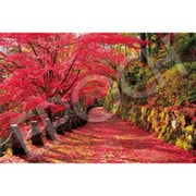 22-116s 日本風景 吉野山の紅葉景 （奈良） [ジグソーパズル 2016ピース]