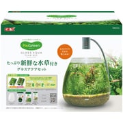 MeGreen 新鮮な水草付き グラスアクアティアーセット