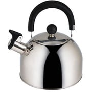 やかん ケトル 笛吹き ステンレス 2.3L IH ガス火対応 エーデル NQ-0203