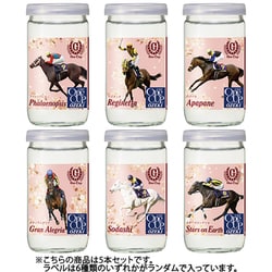 ヨドバシ.com - 大関 【限定】上撰ワンカップ（G-OneCup 桜ラベル） 15