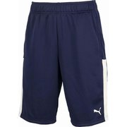 ESS ハーフパンツ 681077 06 Lサイズ [ランニングウェア ショートパンツ メンズ]