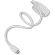 マグネットType-Cケーブル 1M ホワイト CHCM10-WT