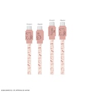 USB Type-C to USB Type-Cケーブル PD60W対応 USB2.0 1.2m サンリオキャラクターズ ハローキティ SANG-396KT