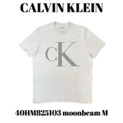 40HM825103 [moonbeam M メンズTシャツ 並行輸入品]