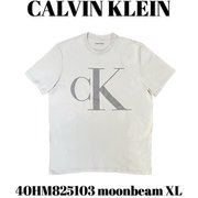 40HM825103 [moonbeam XL メンズTシャツ 並行輸入品]