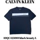 40QC425001 [black beauty L メンズTシャツ 並行輸入品]