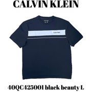 40QC425001 [black beauty L メンズTシャツ 並行輸入品]