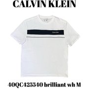 40QC425540 [brilliant wh M メンズTシャツ 並行輸入品]