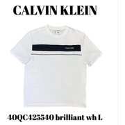 40QC425540 [brilliant wh L メンズTシャツ 並行輸入品]