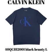 40QC812001 [black beauty L メンズTシャツ 並行輸入品]
