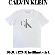 40QC812540 [brilliant wh L メンズTシャツ 並行輸入品]