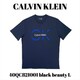 40QC821001 [black beauty L メンズTシャツ 並行輸入品]