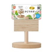 MB-370 [バードパレス かじり木ぼっくり]