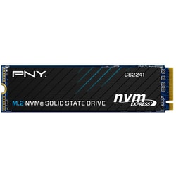 ヨドバシ.com - ピーエヌワイ PNY M280CS2241-500-CL [PNY CS2241