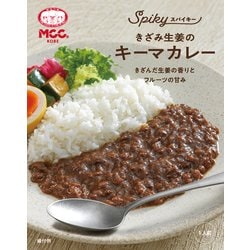 SPIKY きざみ生姜のキーマカレー 160g