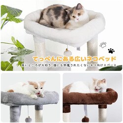 ヨドバシ.com - アイフィ AIFY JAB1P6AG1M-1 [キャットタワー