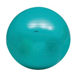 H7263 [ボディボール75]