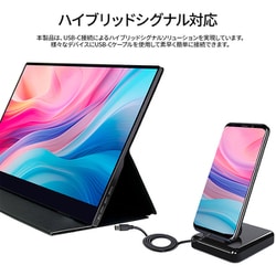 ジャパンネクスト モバイルモニター 17.3型 JAPANNEXT 17.3インチ IPSパネル搭載 フルHD(1920x1080)解像度