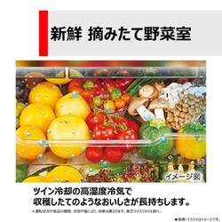 ★大阪府内配送無料★東芝製 VEGETA GR-W550FH 最新2024年製★ GR-W550FH | 冷蔵庫 | 東芝ライフスタイル株式会社 | 冷蔵庫