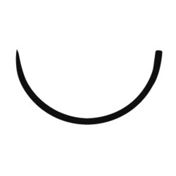 エルプ腸用丸針（バネ穴） NO.10 10入 管理医療機器