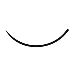 エルプ眼科用丸針（ナミ穴） NO.00 10入 管理医療機器
