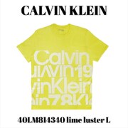 40LM814340 [lime luster L メンズTシャツ 並行輸入品]