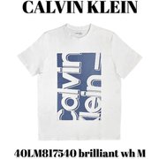 40LM817540 [brilliant wh M メンズTシャツ 並行輸入品]