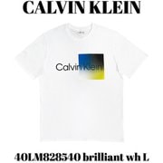 40LM828540 [brilliant wh L メンズTシャツ 並行輸入品]