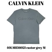 40LM836021 [castor grey M メンズTシャツ 並行輸入品]
