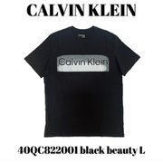 40QC822001 [black beauty L メンズTシャツ 並行輸入品]