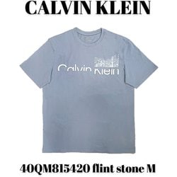 40QM815420 [flint stone M メンズTシャツ 並行輸入品]