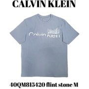 40QM815420 [flint stone M メンズTシャツ 並行輸入品]