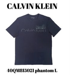40QM815021 [phantom L メンズTシャツ 並行輸入品]