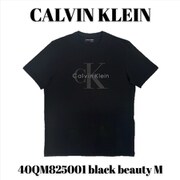 40QM825001 [black beauty M メンズTシャツ 並行輸入品]