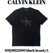 40QM825001 [black beauty L メンズTシャツ 並行輸入品]
