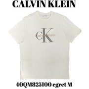 40QM825100 [egret M メンズTシャツ 並行輸入品]