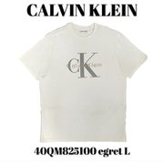 40QM825100 [egret L メンズTシャツ 並行輸入品]