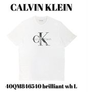 40QM846540 [brilliant wh L メンズTシャツ 並行輸入品]