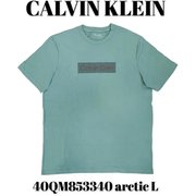 40QM853340 [arctic L メンズTシャツ 並行輸入品]