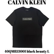 40QM853001 [black beauty L メンズTシャツ 並行輸入品]