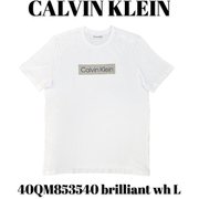 40QM853540 [brilliant wh L メンズTシャツ 並行輸入品]