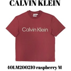 40LM200210 [raspberry M メンズTシャツ 並行輸入品]