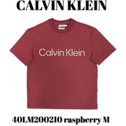 40LM200210 [raspberry M メンズTシャツ 並行輸入品]