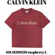 40LM200210 [raspberry L メンズTシャツ 並行輸入品]
