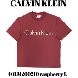 40LM200210 [raspberry L メンズTシャツ 並行輸入品]