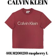 40LM200210 [raspberry L メンズTシャツ 並行輸入品]