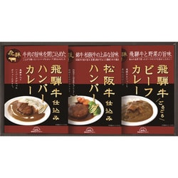 HBK-22 [飛騨高山ファクトリー 松阪牛・飛騨牛仕込み ハンバーグ＆カレー詰合せ]
